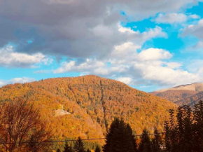 Iepurasul Sinaia
